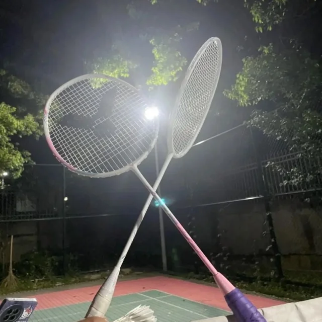 马龙横扫世界杯勇夺乒坛辉煌
